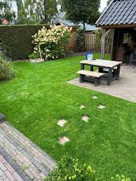 Attēlu rezultāti vaicājumam “Poa remota bud”