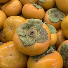 Image result for sharon fruit
