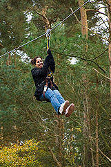 Image result for The Go Ape Experience (Delamere Forest)