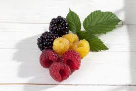 Image result for Rubus sectio