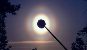 Attēlu rezultāti vaicājumam “pollen corona”