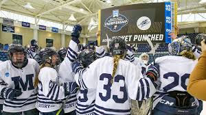 Image result for Tenbury Ladies Hockey Club