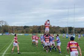 Image result for Fylde Rugby Union Football Club