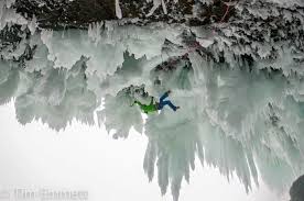 「イルミンガルド・スノーレヴィク」の画像検索結果