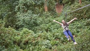 Image result for Go Ape! Moors Valley