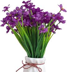Image result for violet