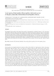 Attēlu rezultāti vaicājumam “Hemicrepidius sp.”