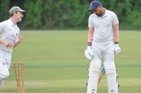 Image result for Yelverton Bohemians Cricket Club