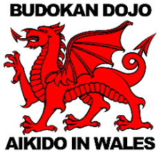Image result for Macclesfield Dojo