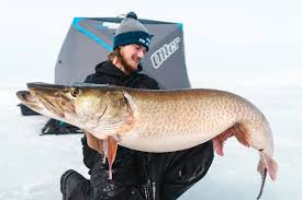 Image result for Moxostoma hubbsi