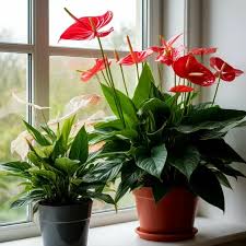 Image result for Приметы