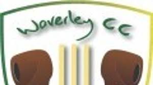 Image result for Waverley Cricket Club