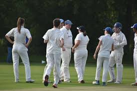 Image result for Nazeing Common Cricket Club