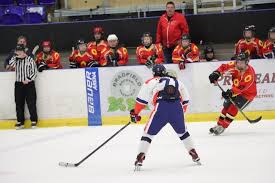 Image result for Streatham Night Wolves Ice Hockey Team
