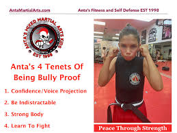 Image result for Bully Me Now Mixed Martial Arts