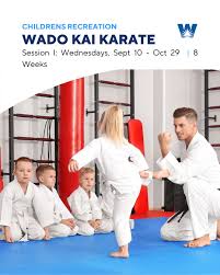 Image result for Karate Wado Kai