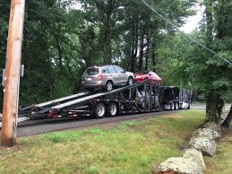 「ソフィア・フォレスター」の画像検索結果