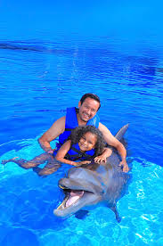 Image result for Adventure Dolphin