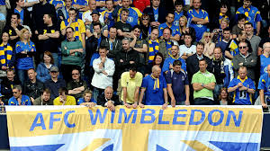 Image result for Wombles Netball Club