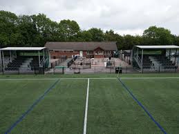 Image result for Leatherhead Football Club