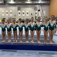 Image result for L&G Acrobatic Gymnastics Club