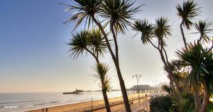 Image result for Wootton Road Runners