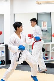 Image result for Bodyfit Martial Arts