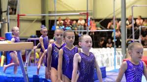 Image result for Tamworth Olympic Gymnastics Club