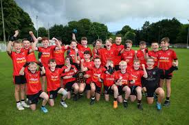 Image result for St Bronagh`s Gaa