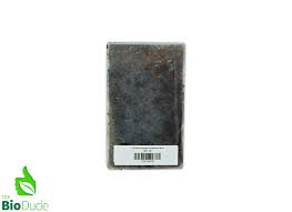 Attēlu rezultāti vaicājumam “Plagiomnium cuspidatum sporophyte”