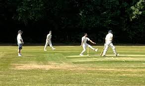 Image result for Woking and Horsell Cricket Club