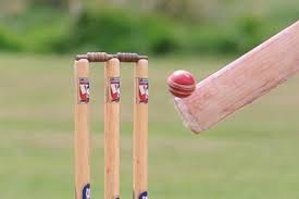 Image result for Podington Cricket Club