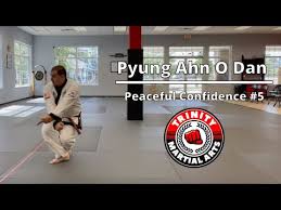 Image result for TRINITY KARATE ACADEMY