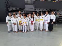 Image result for Tora Dojo