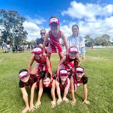 Image result for Pink Ladies Netball Club
