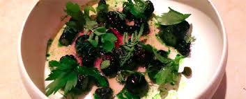 Image result for noma mad