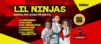 Image result for Kicking Dragon Kung Fu School, Belfast