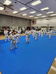 Image result for Excalibur Shotokan Karate Club