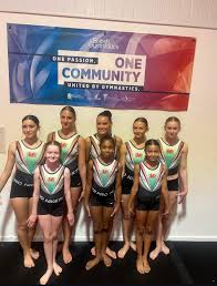 Image result for Newport Gymnastics Club