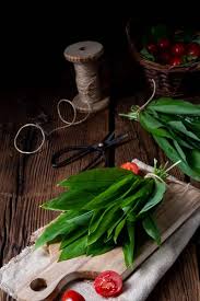 Attēlu rezultāti vaicājumam “Allium ursinum fruit”