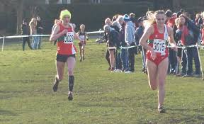 Image result for Farnham Triathlon Club