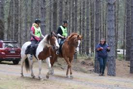 Image result for Woodhill Riding Club