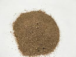 Image result for insect poop