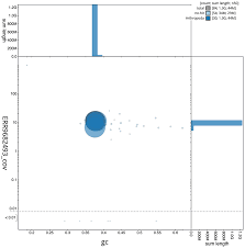 Attēlu rezultāti vaicājumam “Tholera decimalis female”