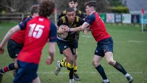Image result for Carrickfergus Rugby Football Club