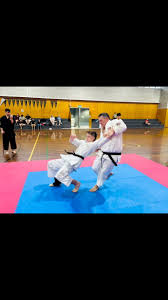 Image result for Levern Tora-Kai Karate Club