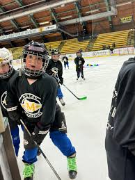 Image result for New Milton Hockey Club