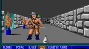 Image result for wolfenstein 3d