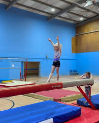 Image result for Thornton Sport Gymnastics
