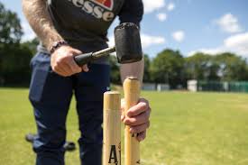 Image result for Oxshott Village Cricket Club